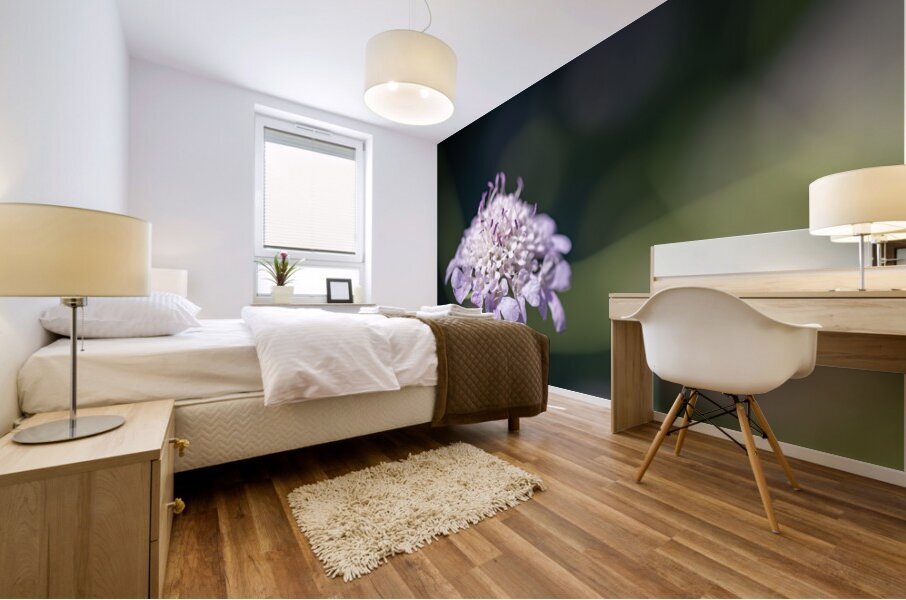 Pincushion Flower Mural print