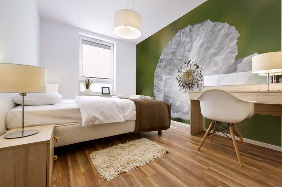 White Poppy Mural print