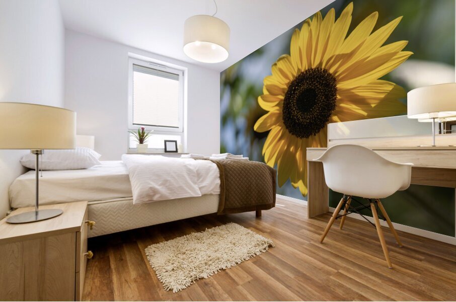 Sunlit Serenade Mural print