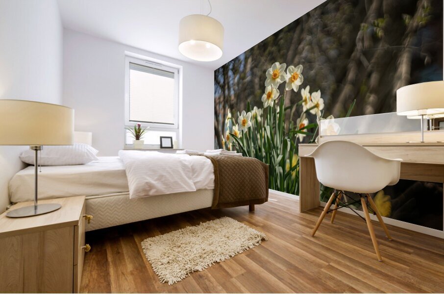Daffodil Dreams Mural print