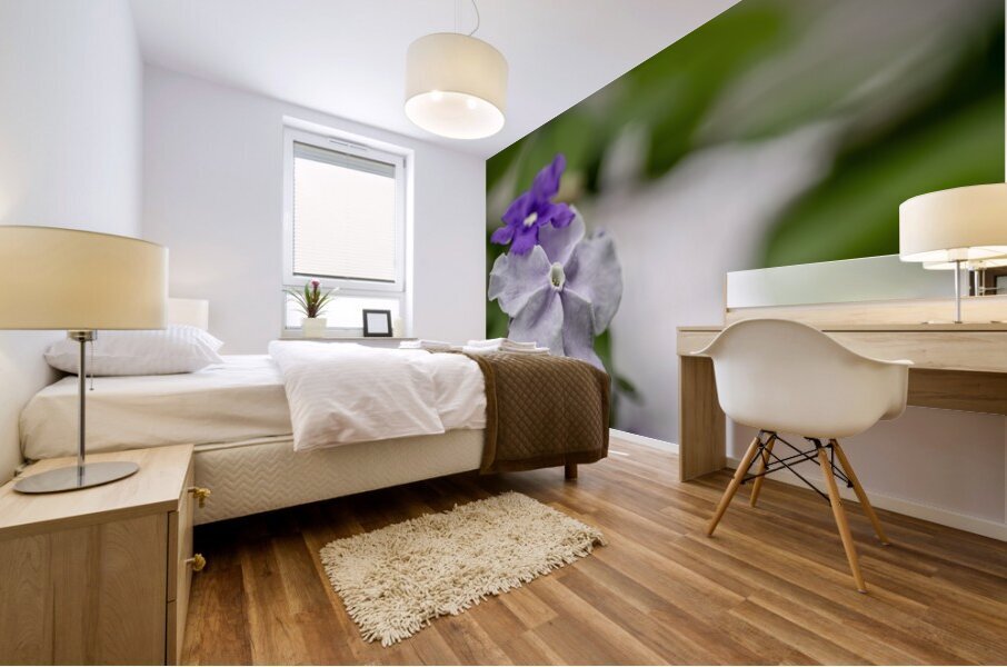 Mauve Melody 1 Mural print