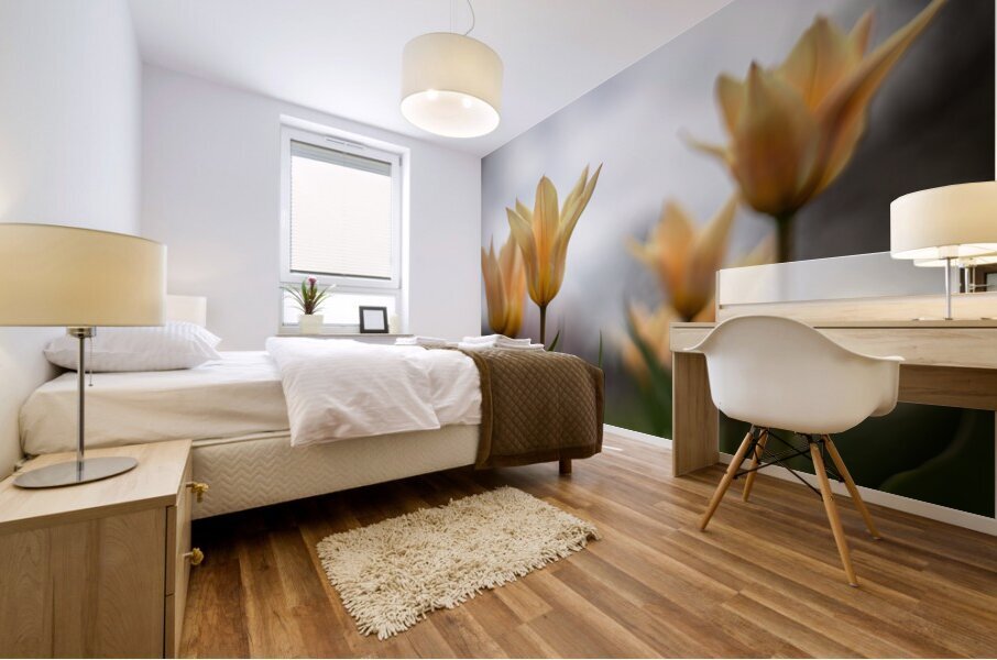 Amber Aurora Mural print