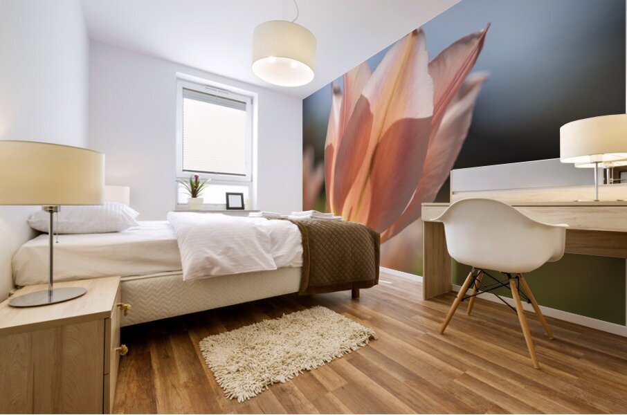 Radiant Reverie Mural print