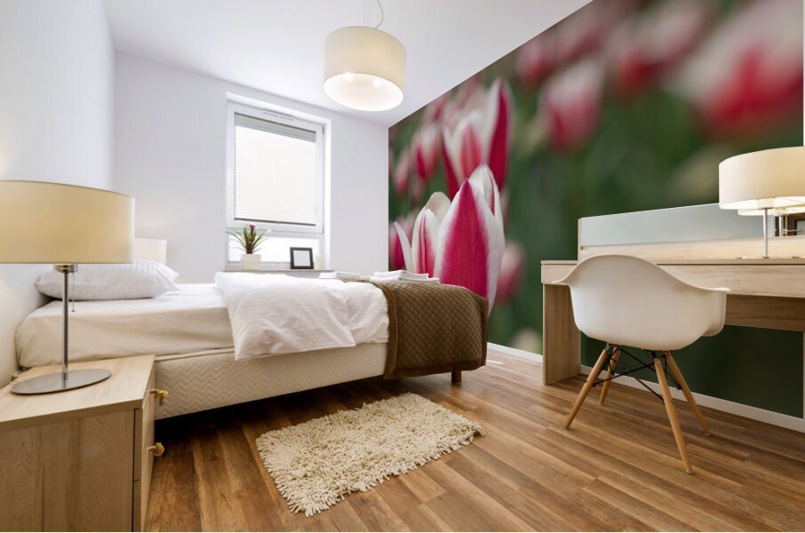 SBP6643 Impression murale