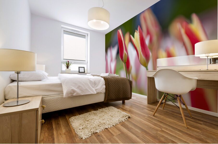 SBP5569 Impression murale