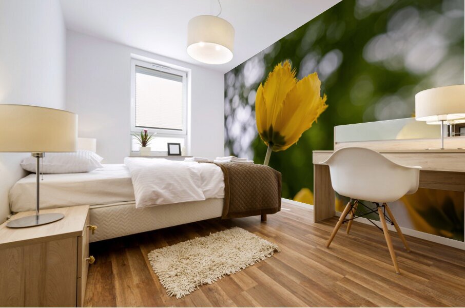 SBP5699 Impression murale