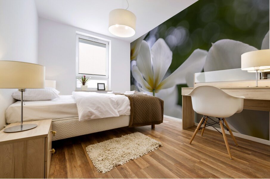 SBP5705 Impression murale