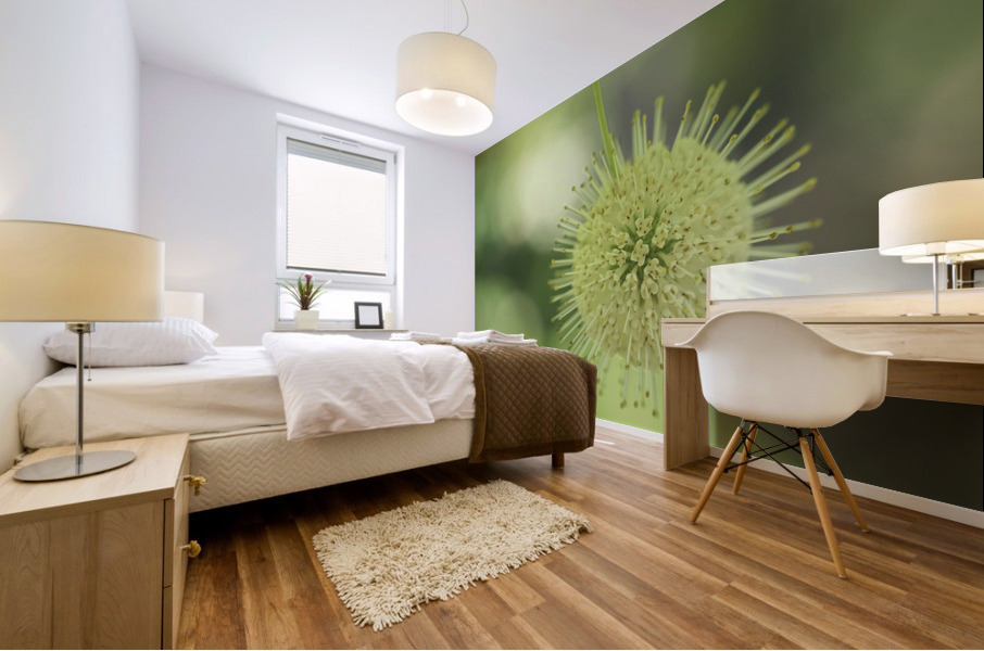 Cephalanthus Occidentalis Mural print