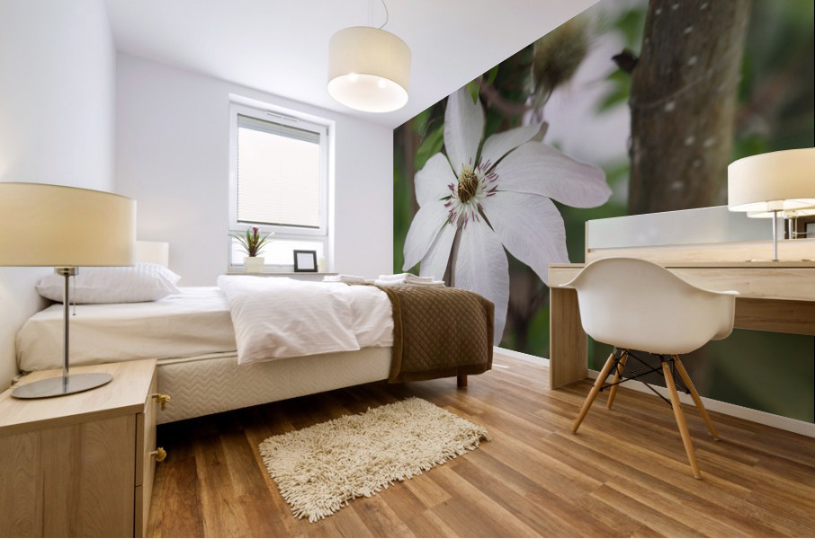 Hidden Beauty Mural print