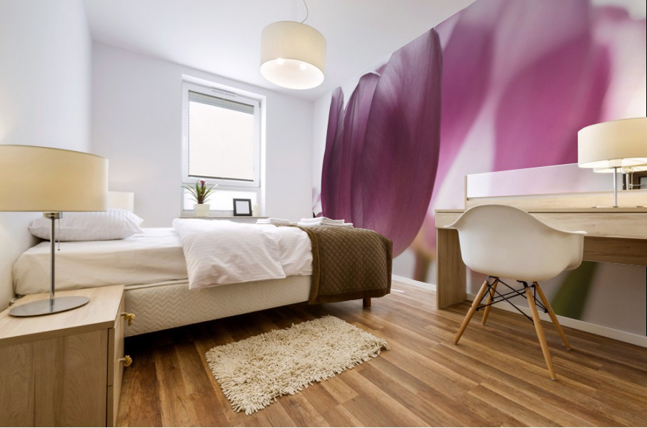 Pink Tulips Impression murale