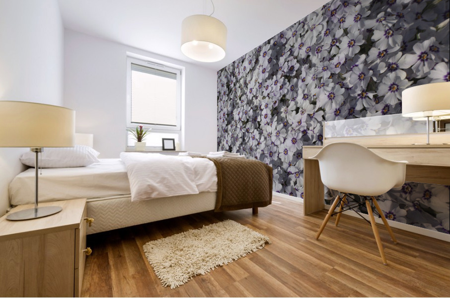 Moss Phlox Mural print