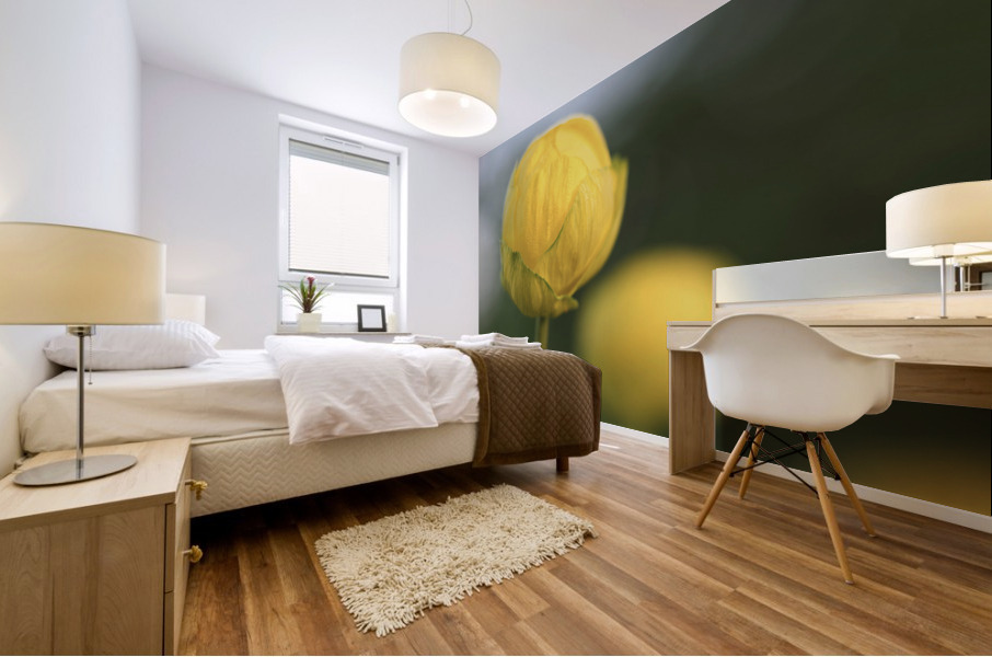 Lollipop Mural print