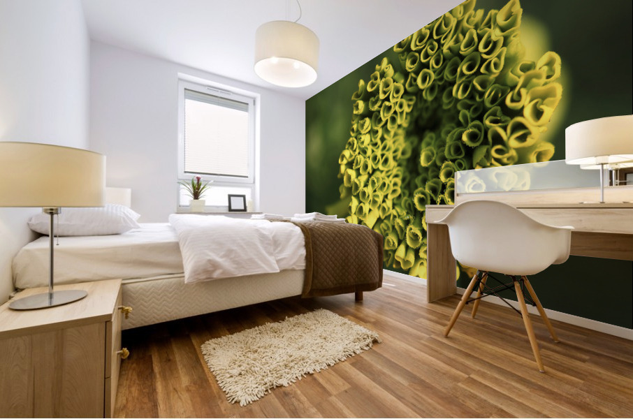 Ringlets Mural print