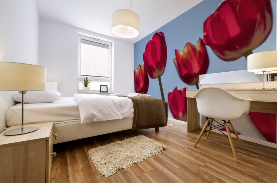 Red Tulips Impression murale