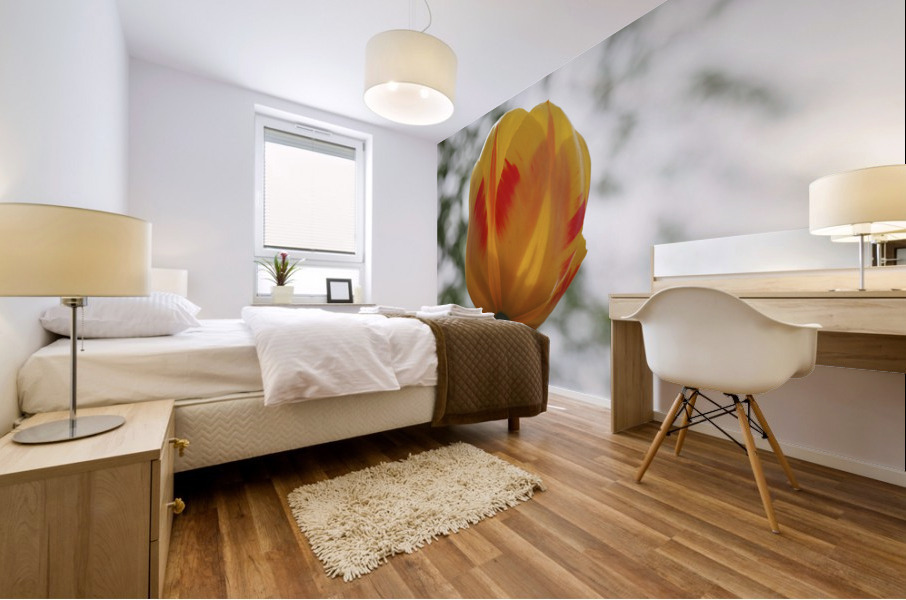 Red and Yellow Tulip Mural print