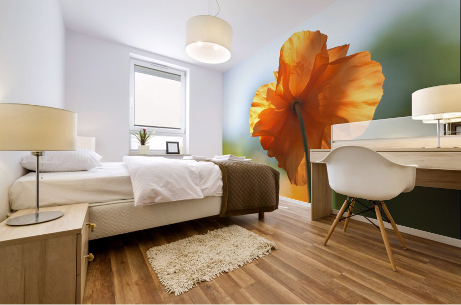 Poppy Burning Impression murale