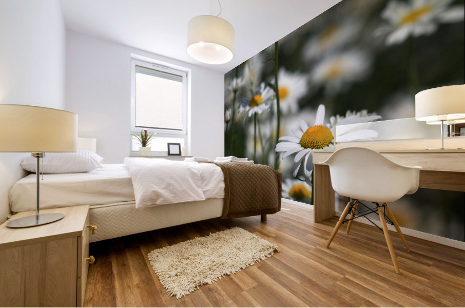 White Daisies Mural print