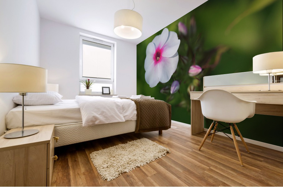 Bright Eyes Mural print