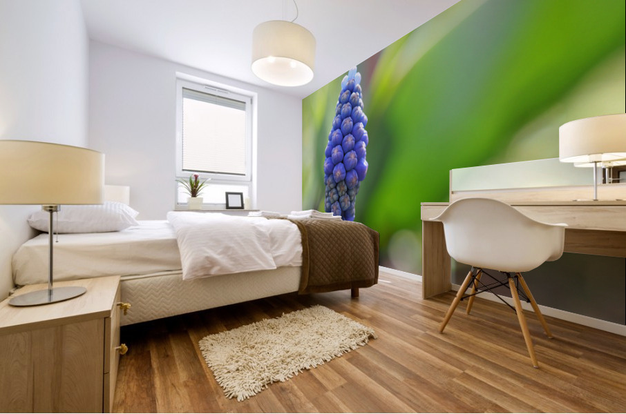Muscari Mural print
