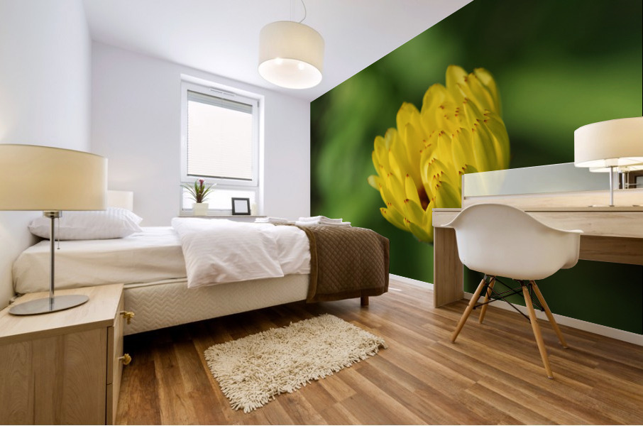 Yellow Bud Mural print