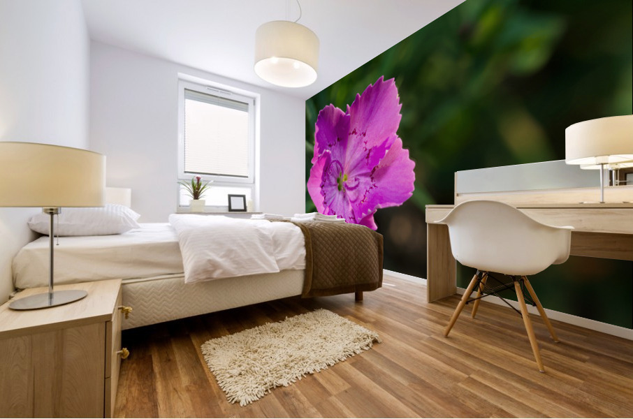 Maiden Pink Impression murale