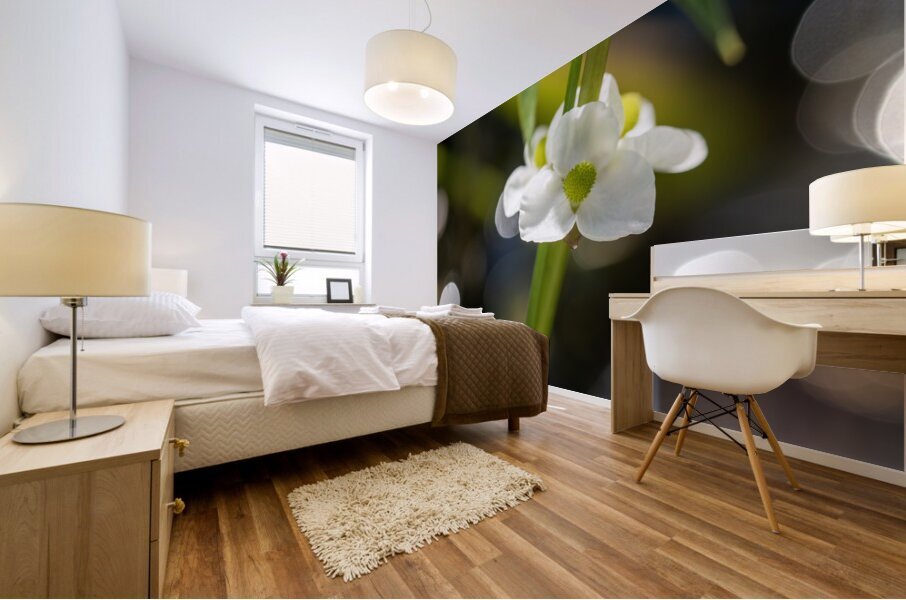 Threeleaf Arrowhead Mural print