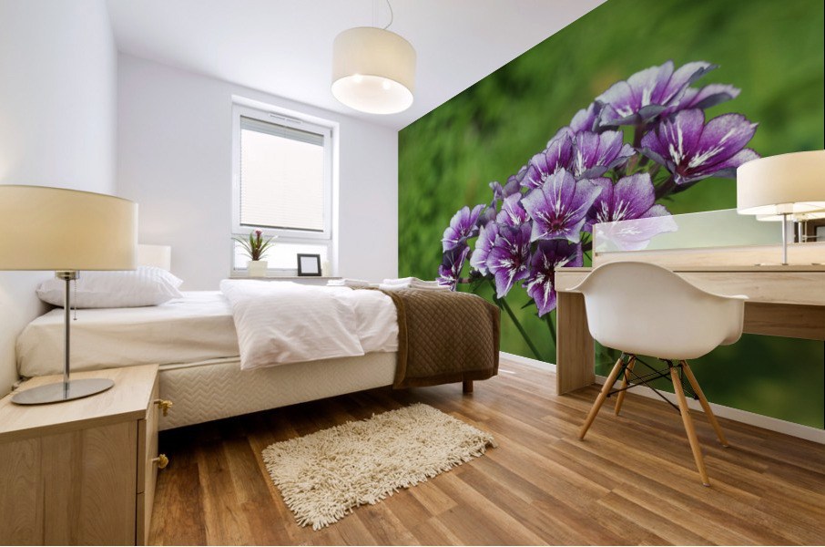 Phlox Bouquet Mural print