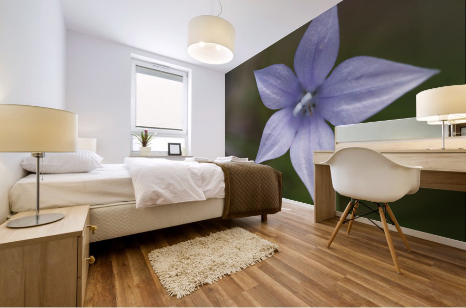 I See Blue Mural print