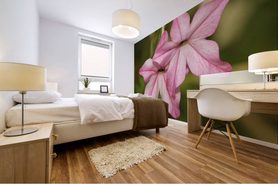 Pink Stars Mural print