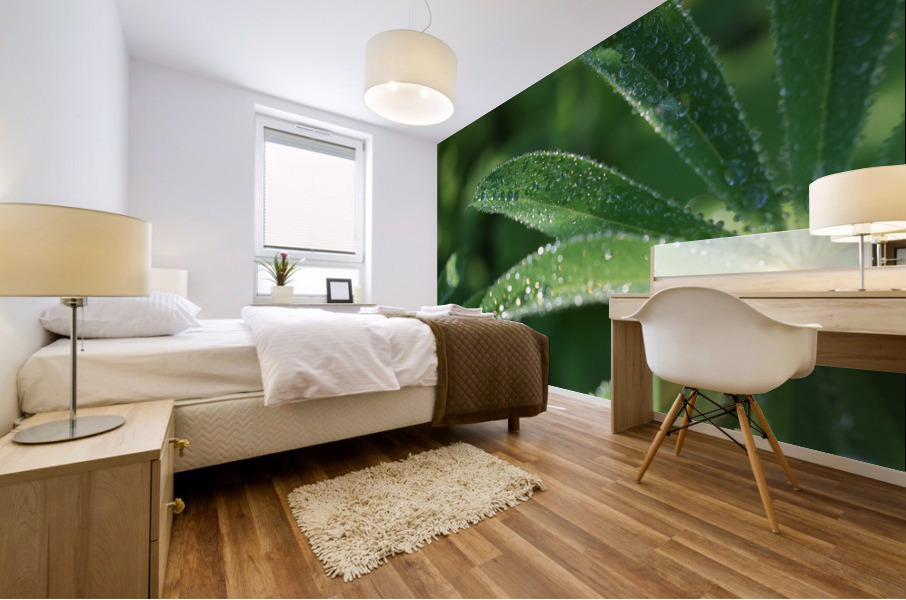 Droplets Mural print