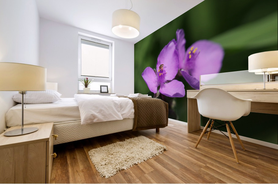 Visitor Impression murale