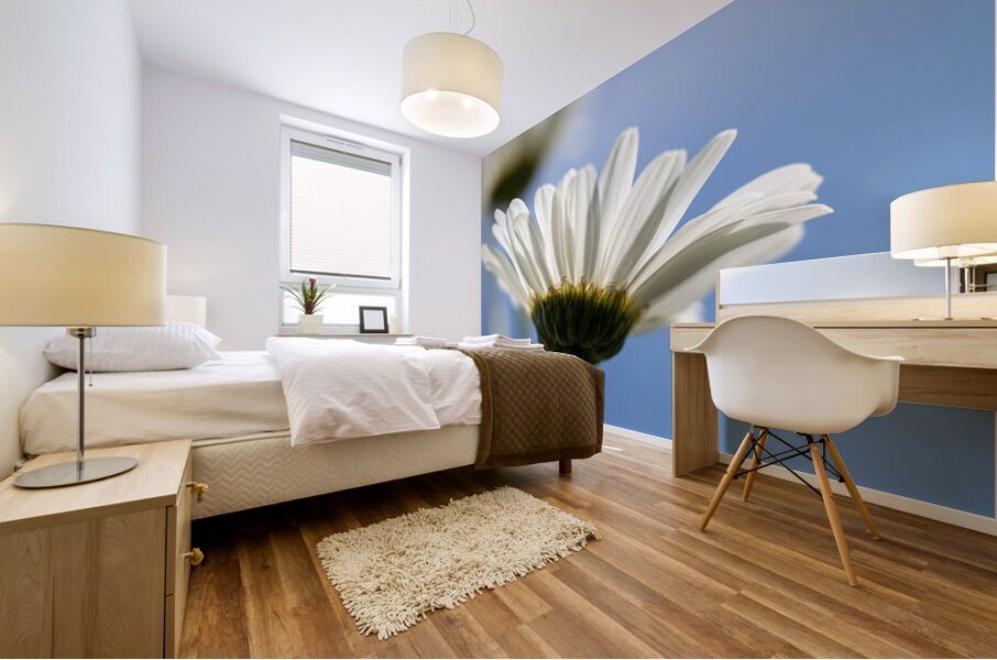 Oxeye Daisies Mural print