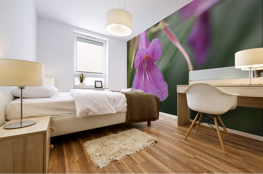 Dear Little One Mural print