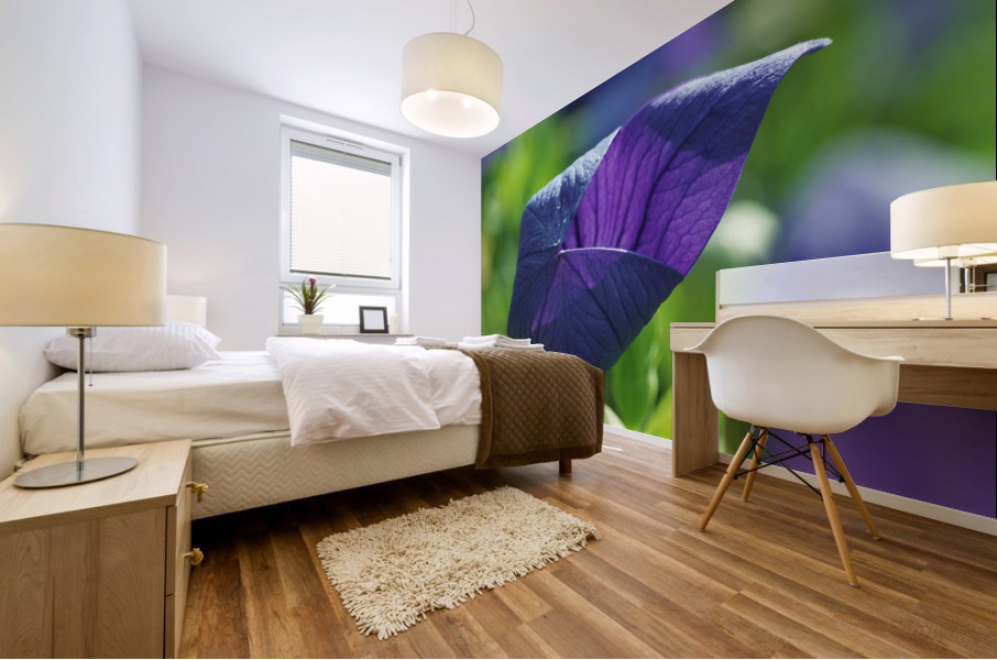 Coin coin Mural print