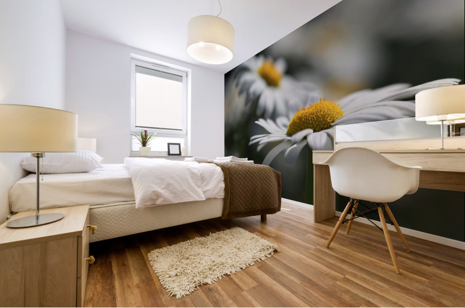 Marguerites Impression murale