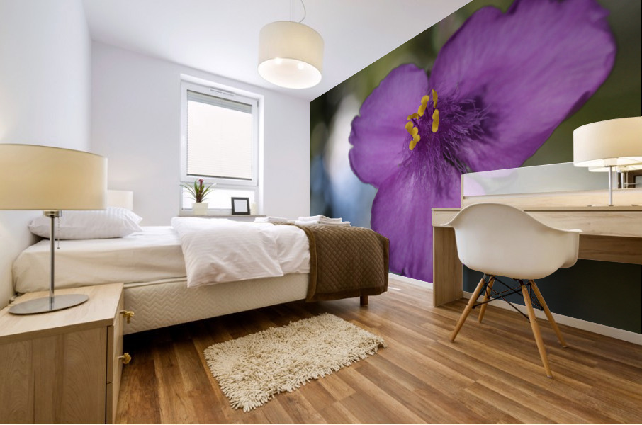 Prairie Beauty Mural print