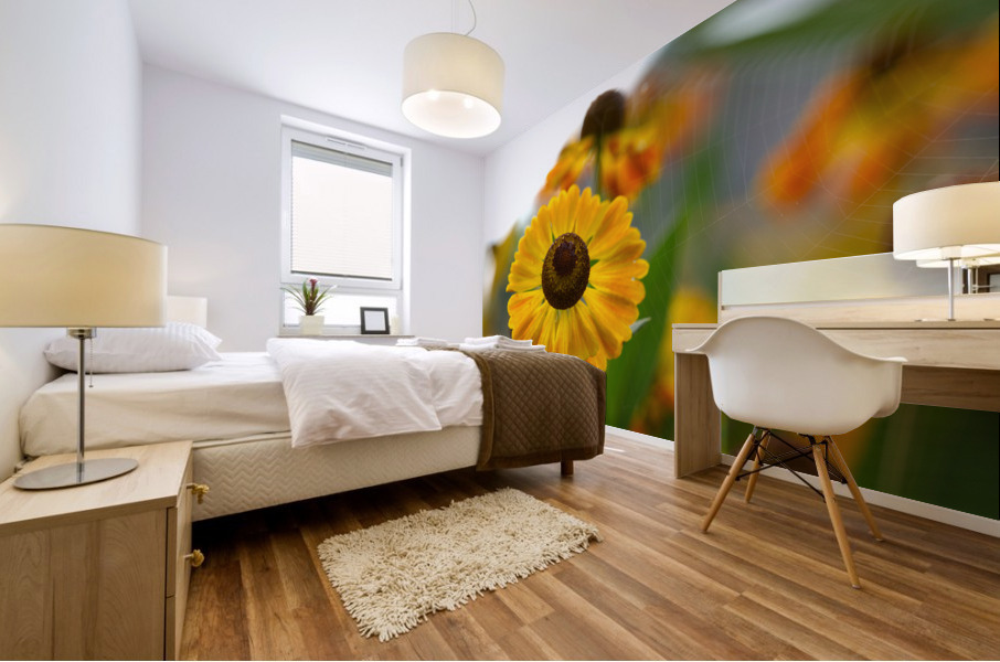 A Beautiful Day Impression murale