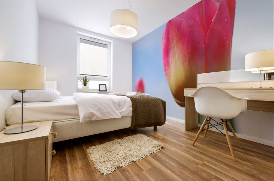 Pastel Tulips Mural print