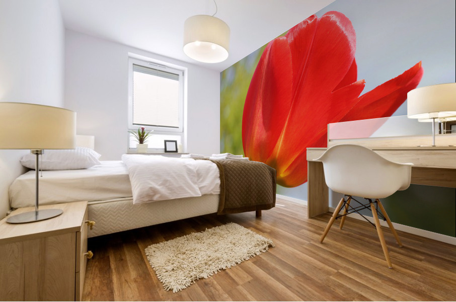 Pop of Color Mural print