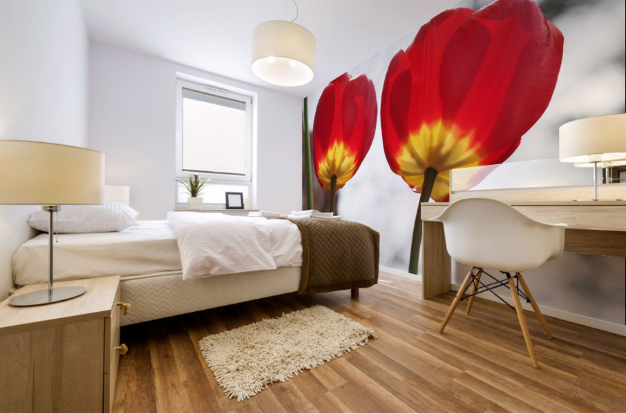 Twin Sisters Mural print