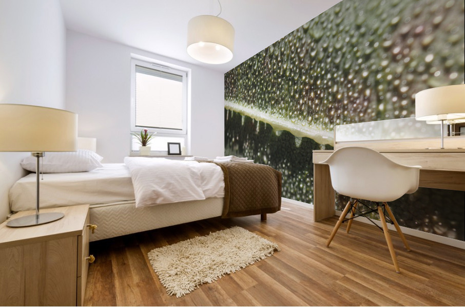 Leaf with Morning Dew Impression murale