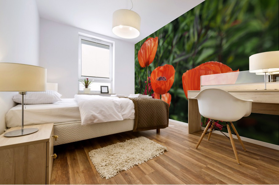 Poppies Mural print