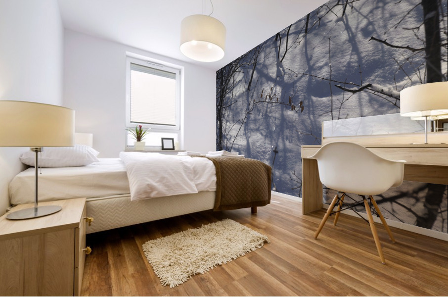 Peaceful Mural print