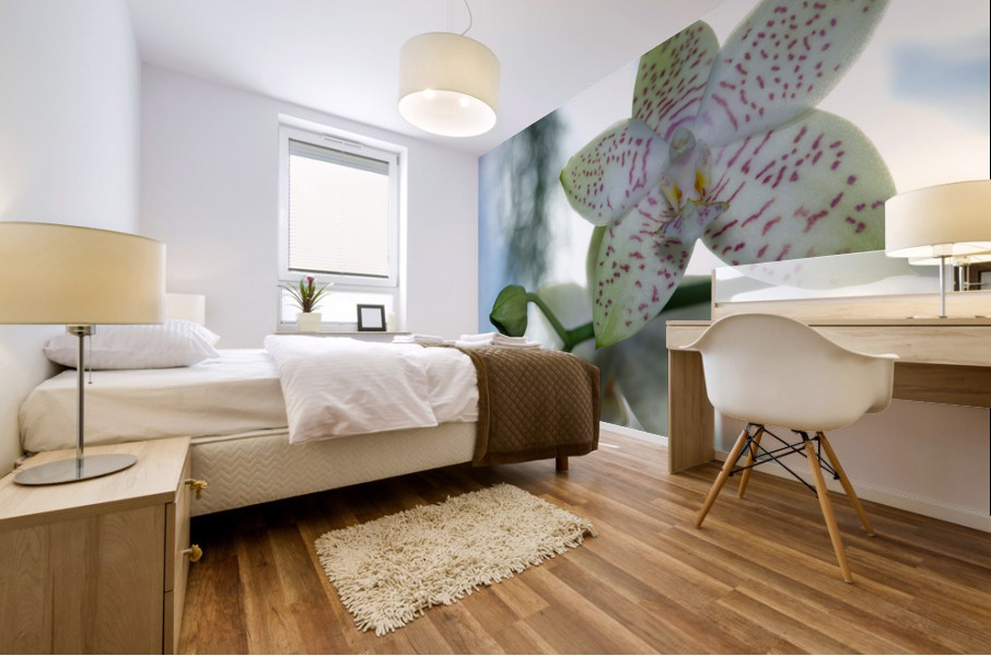 Ornamental Orchid Mural print