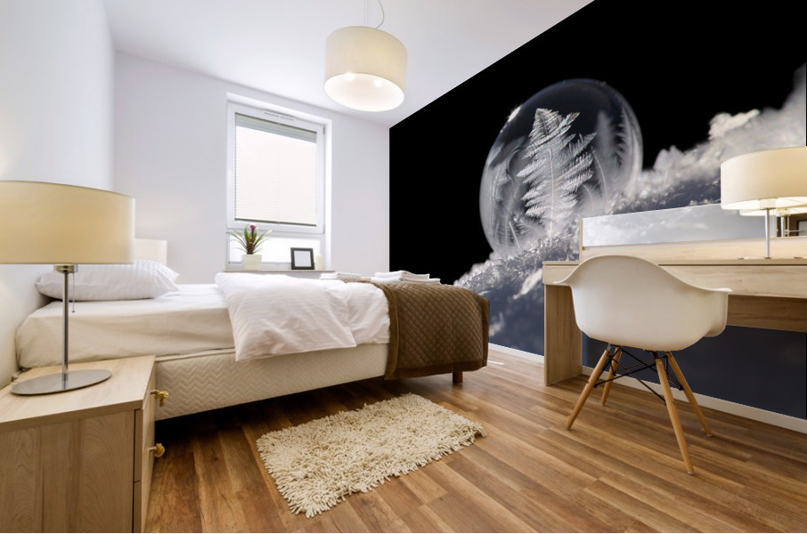 Frozen Soap Bubble Mural print