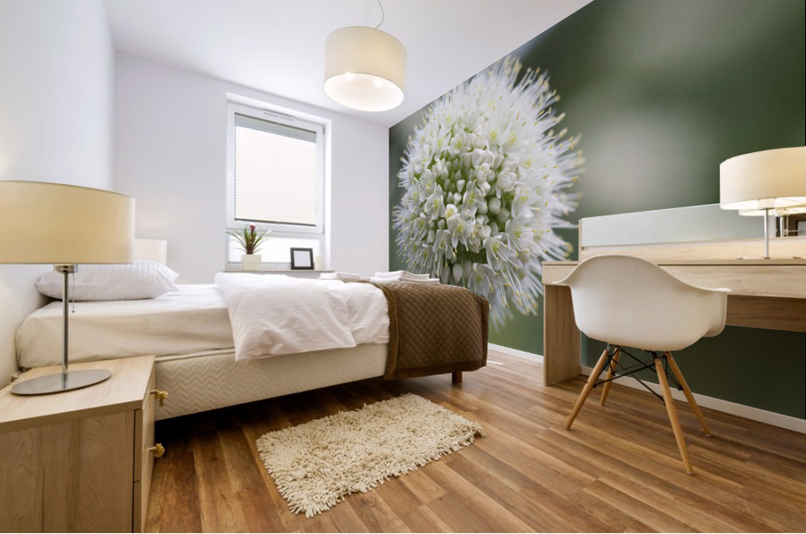 Allium Pskemense Impression murale