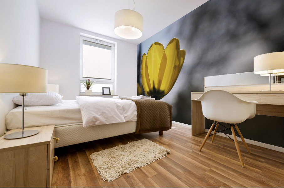 Yellow Tulip Mural print