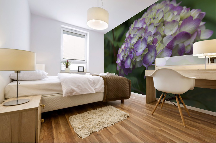 Endless Summer Mural print