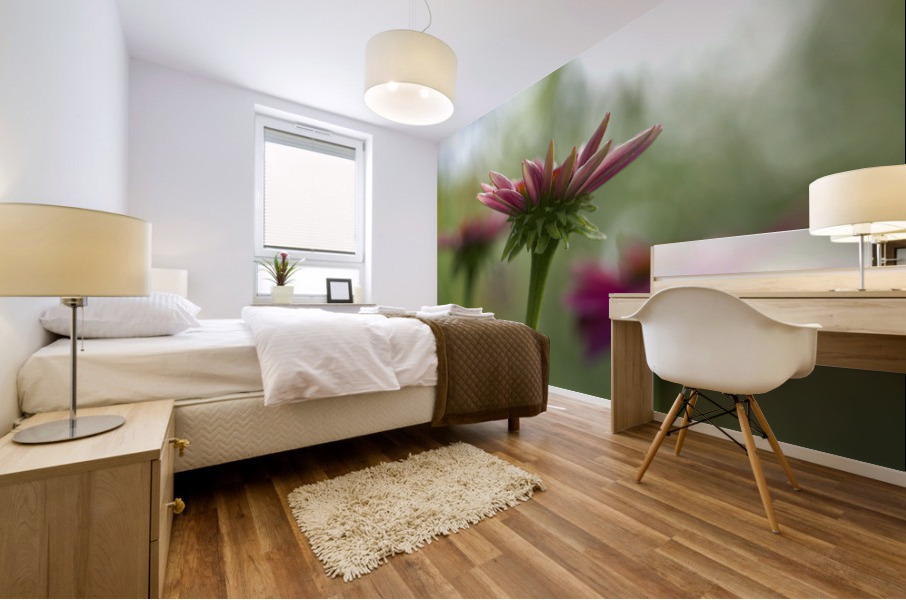 Coneflower Blooming Mural print