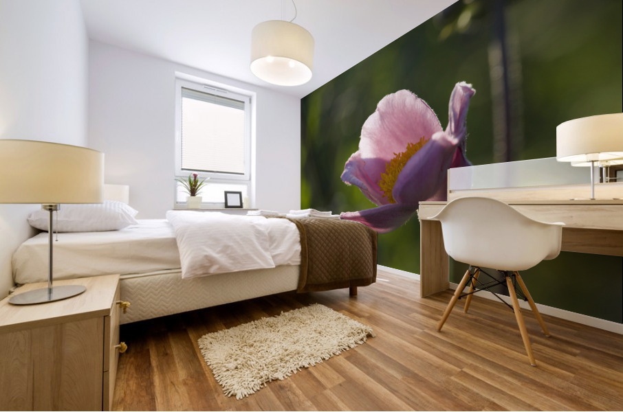 Broken Bowl Flower Mural print